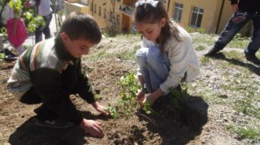 K&uuml;re'de Minik Eller Fidanları Toprakla Buluşturdu