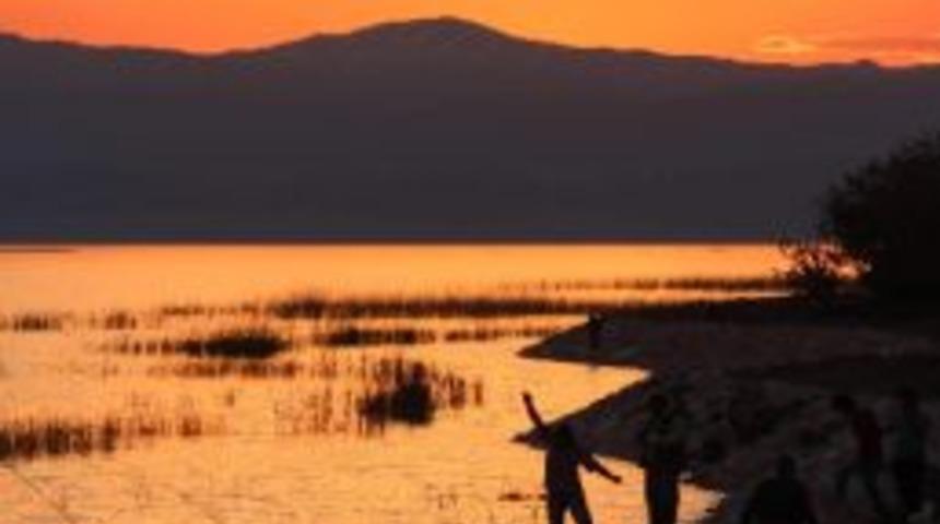 Oltaya Levrek Yerine Sazan Geliyor