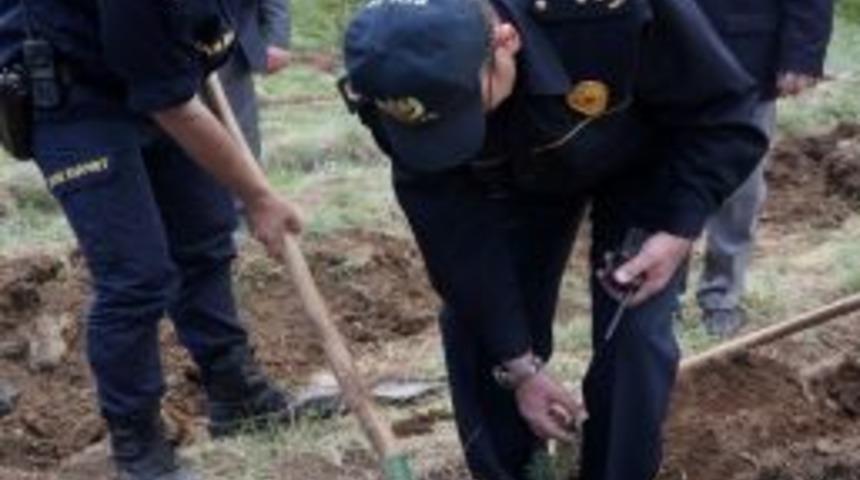 Polis Ve Vatandaş Birlikte Hatıra Ormanına 900 Fidan Dikti