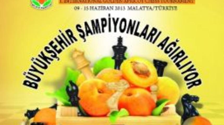 Malatya'da 1.uluslararası Altın Kayısı Satran&ccedil; Şampiyonası