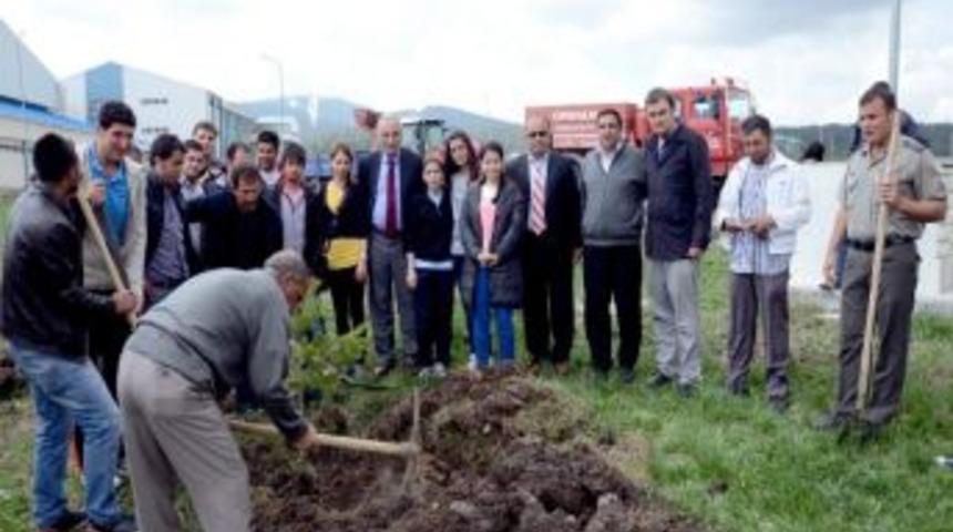 Sarıkamış Besyo &Ouml;ğrencileri Fidan Dikti