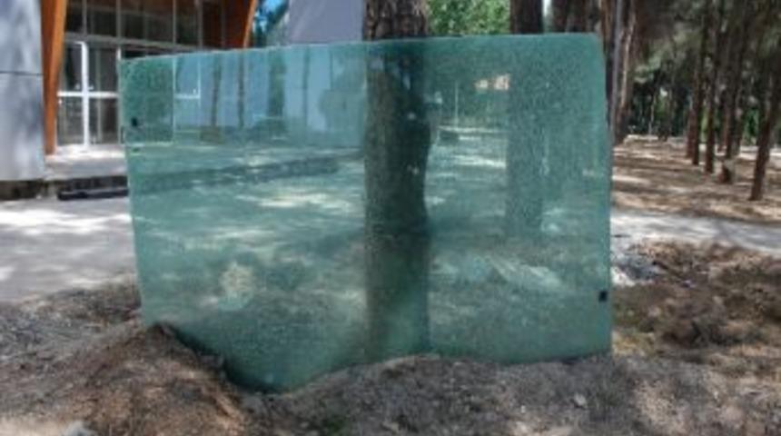 Torbalı'daki Dev Akvaryumun Camını Kırdılar