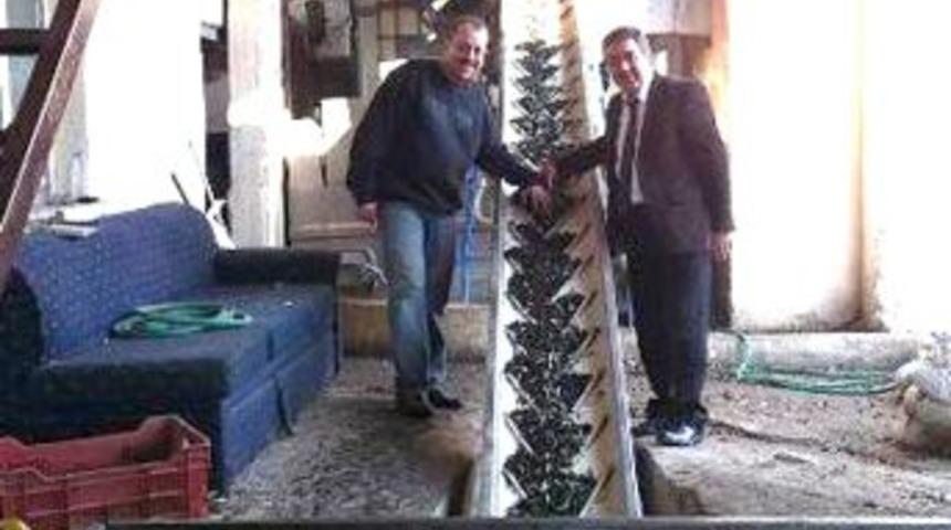 Zeytin Yağı Desteklemelerinde 20 Kuruşluk Artış