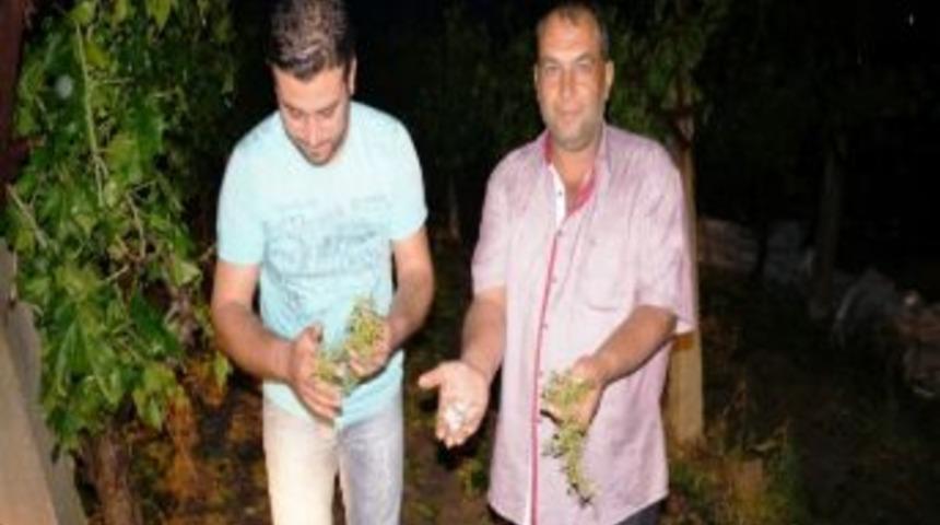 Sarıg&ouml;l&rsquo;de Dolu