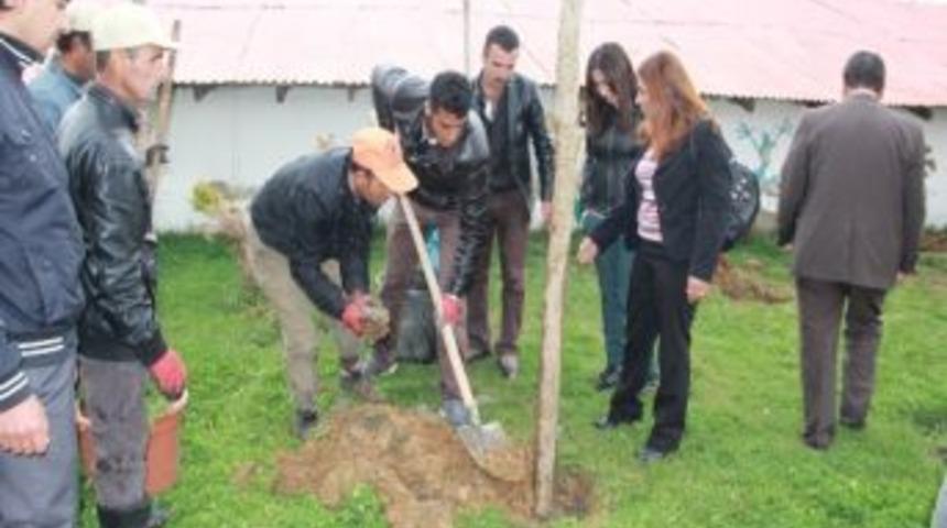 Başkale Belediyesi&rsquo;nden Fidan Dikimi