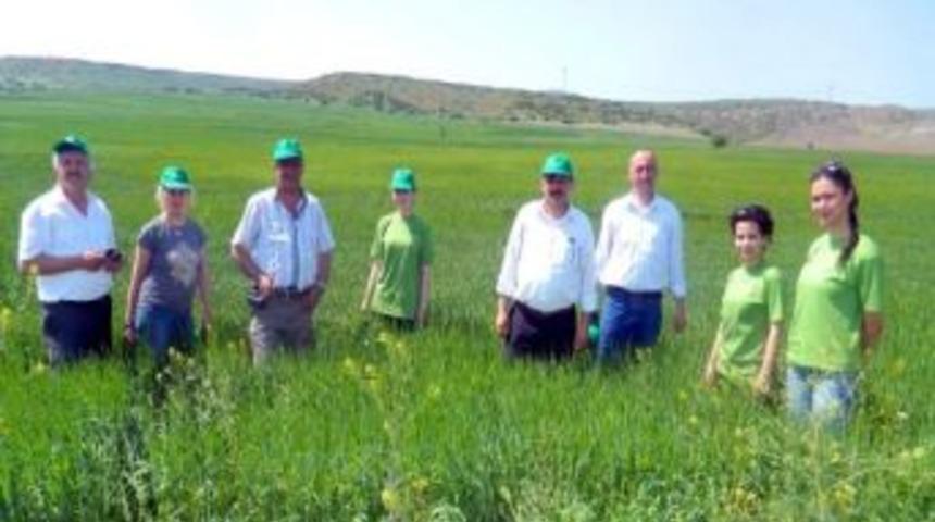 15 Mayıs&rsquo;a Kadar Yağmur Olmazsa Ekinler Kuruyacak