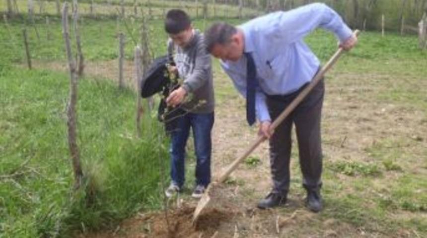 Hizan&rsquo;da Fidan Dikimi