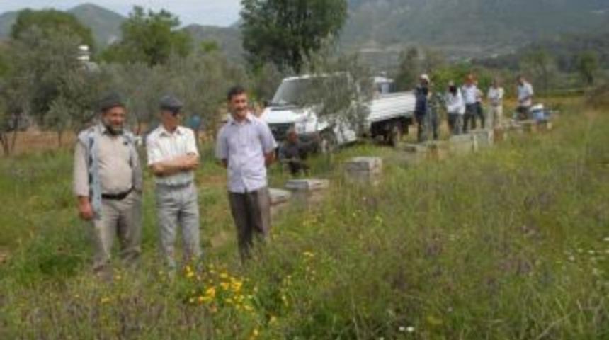 Fethiye Ve &Ccedil;evresinde Organik Arıcılık Ve Bal Ormanları Projesi Başlatıldı