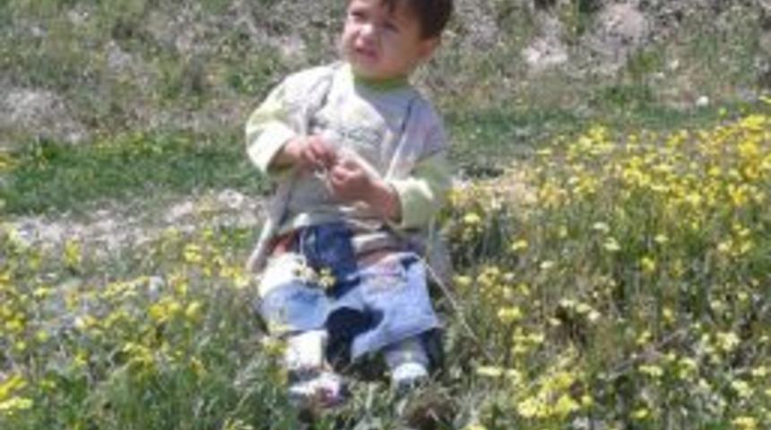 Minik Demir'in Organları, 3 &Ccedil;ocuğa Can Verdi