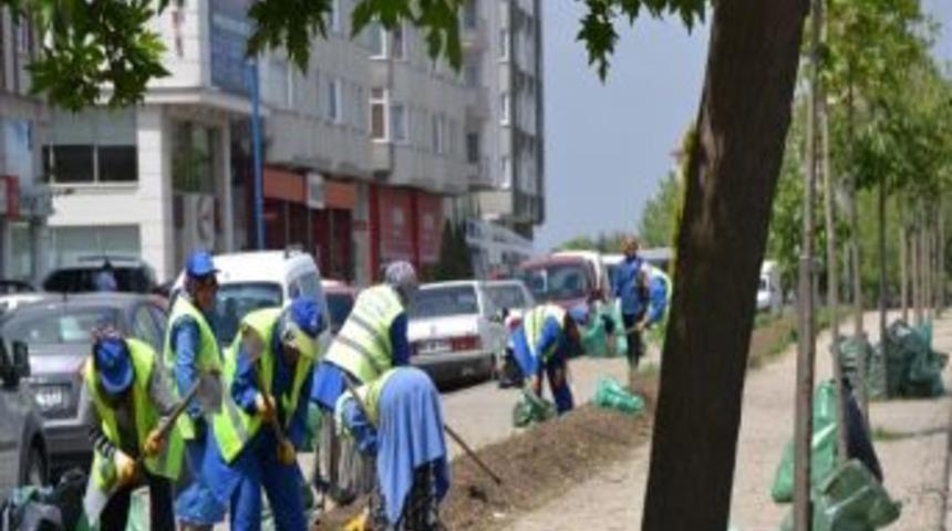 &Ccedil;orlu &Ccedil;i&ccedil;ek A&ccedil;acak