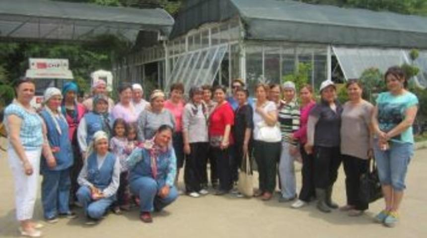 Chp Kadın Kolları, Kadın Ve Emek Haftası'nı Kutladı