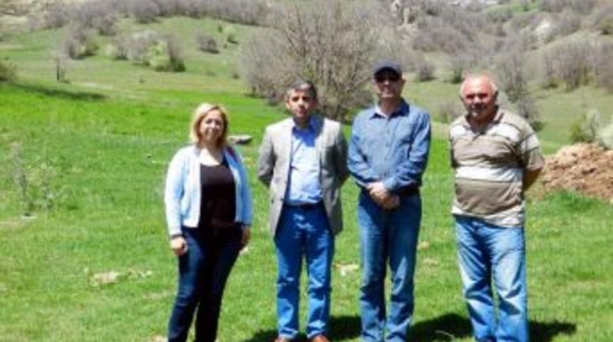 K&ouml;ylerde &Ccedil;ekirge M&uuml;cadelesi Başladı