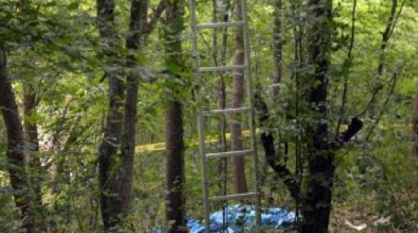 Ağa&ccedil;tan D&uuml;şen Eski Muhtar Hayatını Kaybetti