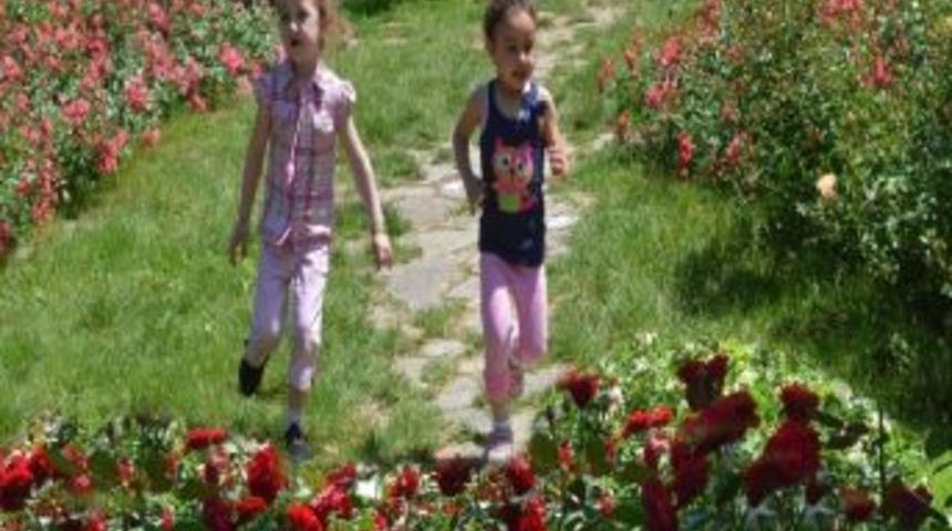 Denizli Belediyesi&rsquo;nden En G&uuml;zel Bah&ccedil;e Yarışması