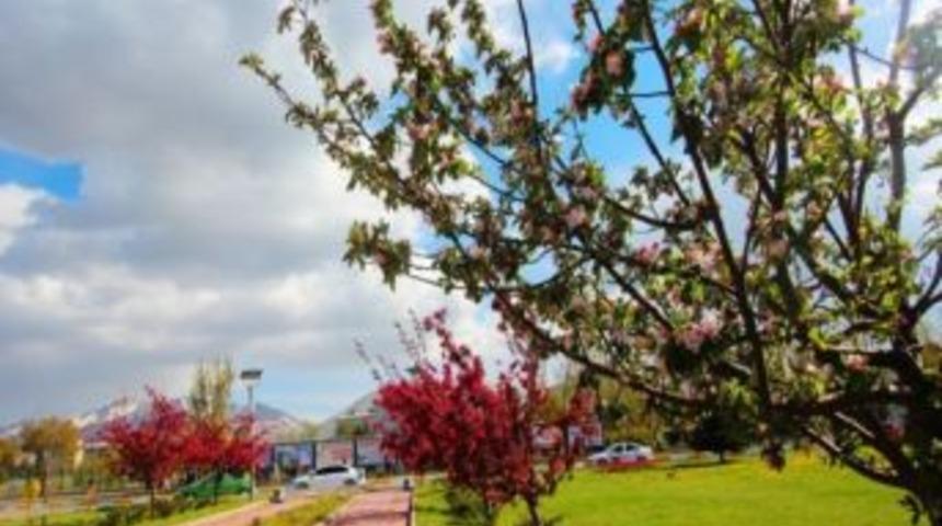 Erzurum`da 130 Bin Lale A&ccedil;tı