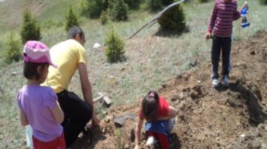 Anaokulu &Ouml;ğrencileri Fidan Dikti