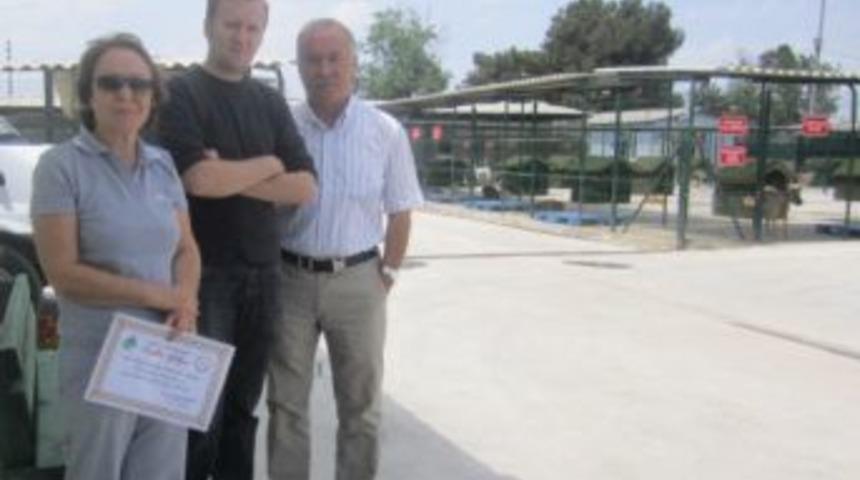 Emekli Rekt&ouml;r Yardımcısından Sokak Hayvanları I&ccedil;in Mama Yardımı