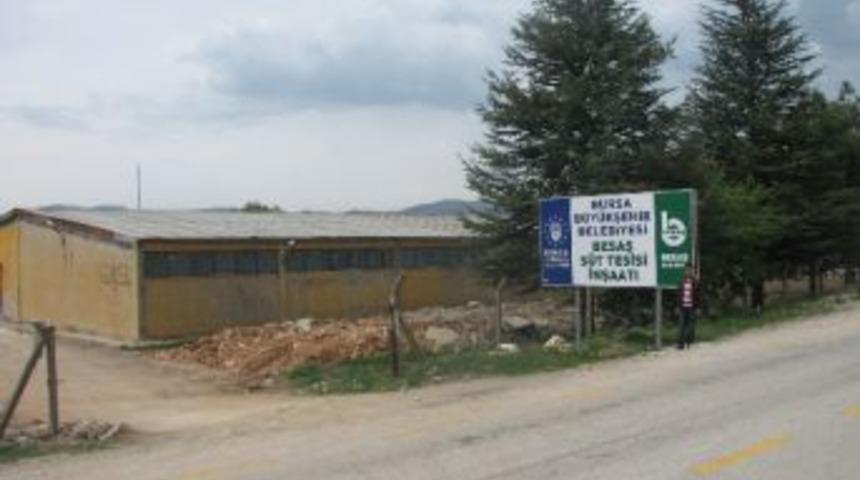 Besaş'tan Keles'e S&uuml;t Fabrikası