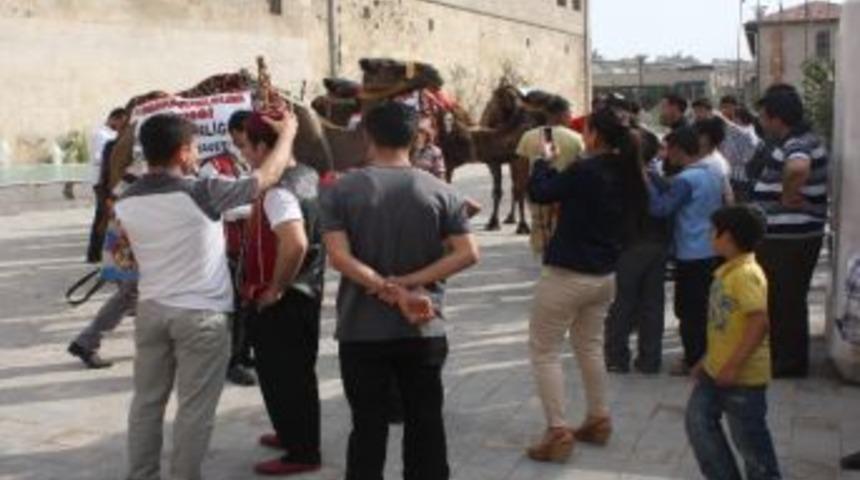 Karakoyunlular Derneği'nden Develer İle Davet