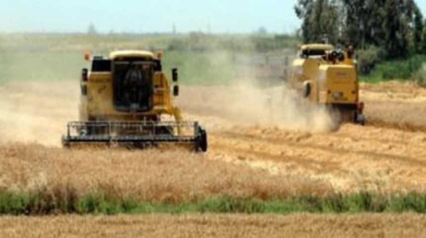 Didim&rsquo;de 2013 Yılı Hasat &Uuml;cretleri Belli Oldu
