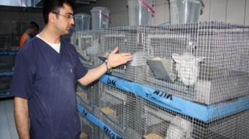 ATADEM, Bakanlıktan &Ccedil;alışma Izni Aldı