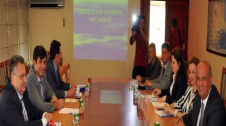 T&uuml;rkiye Ve Yunanistan Sivrisinekle Ortak M&uuml;cadele Edecek