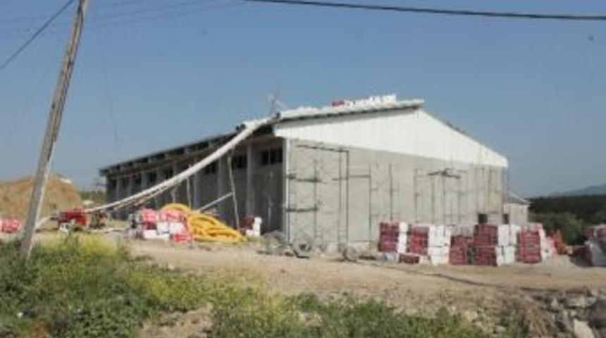 &Ccedil;ınarcık Spor Salonu G&uuml;n Sayıyar