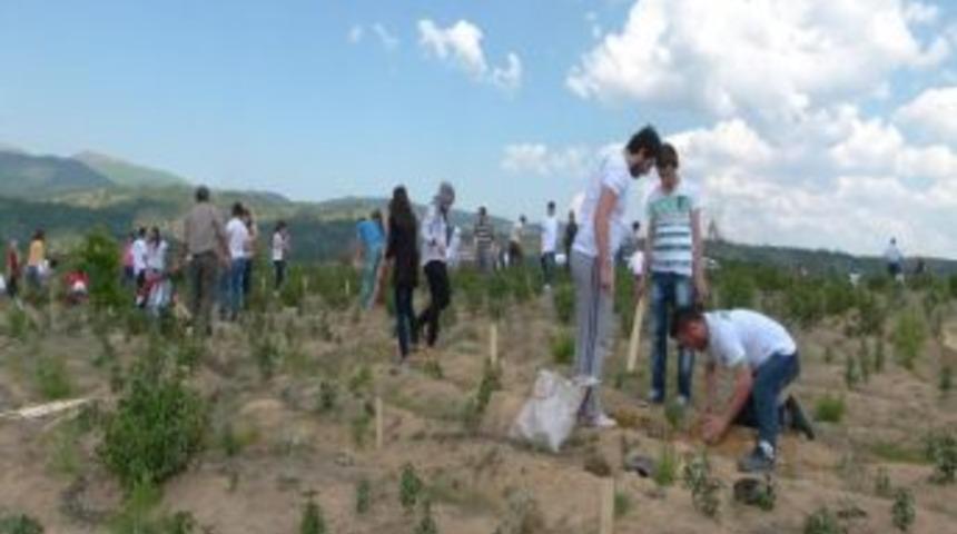 &Uuml;niversiteli Gen&ccedil;ler Ormancılığı &Ouml;ğrendi