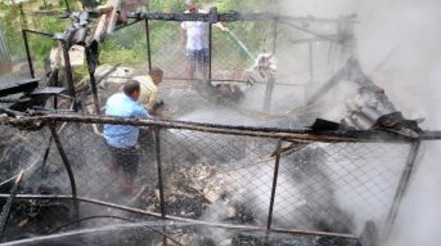 Restorana D&uuml;şen Yıldırım Yangına Sebep Oldu
