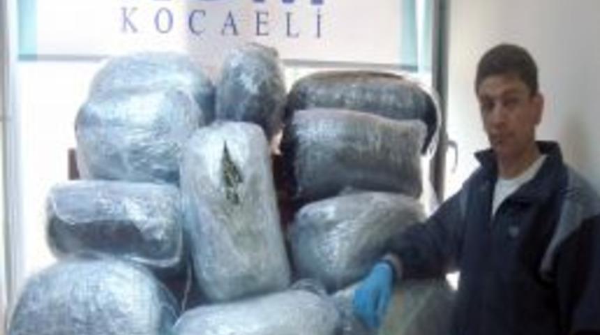 Kocaeli'nde 73 Kilogram Esrar Ele Ge&ccedil;irildi