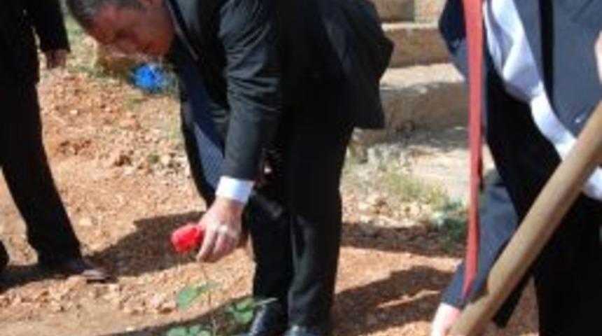 Her &Ouml;ğrenci Bir G&uuml;l Dikti, Okulu G&uuml;l Bah&ccedil;esine &Ccedil;evirdi