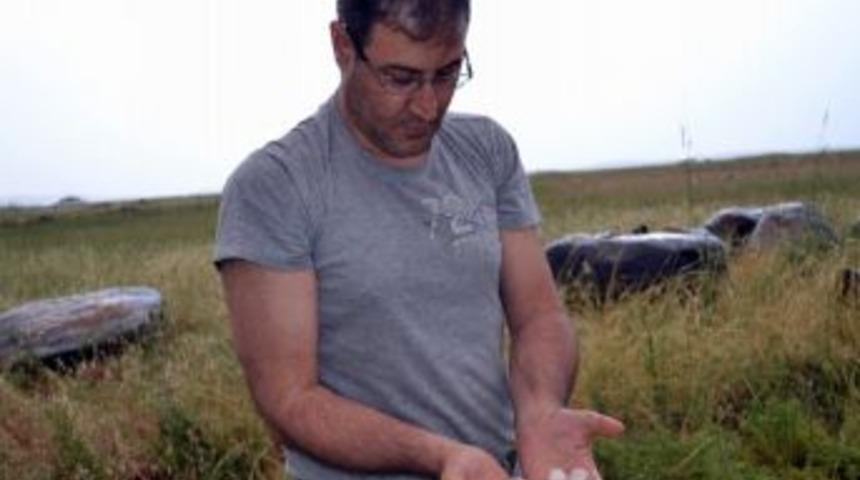 Dolu Yağışı &Uuml;reticileri Korkuttu