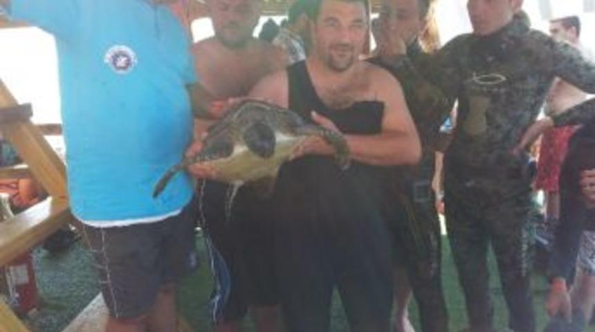 7. Uluslararası Paris-ıı Batığı Dalışında D&uuml;zce&rsquo;de Temsil Edildi