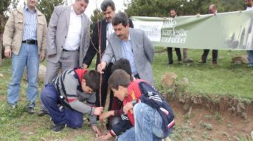 Erzurum Vefa Derneği&rsquo;nce Abdurrahman Gazi T&uuml;rbesine Fidan Dikildi