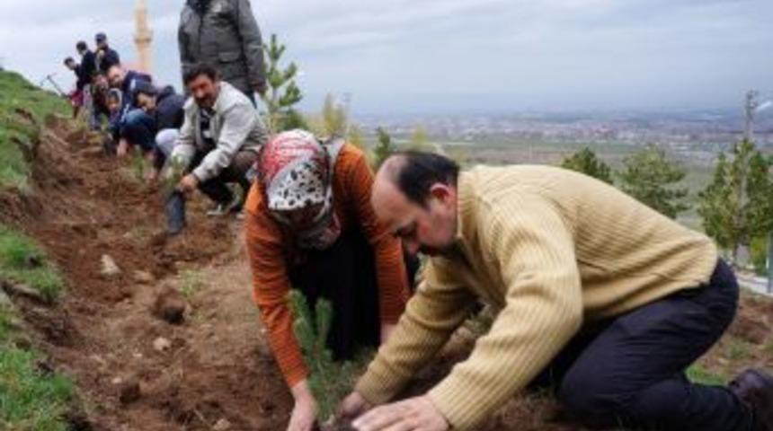 Erzurum'da Avukatlar Fidan Dikti