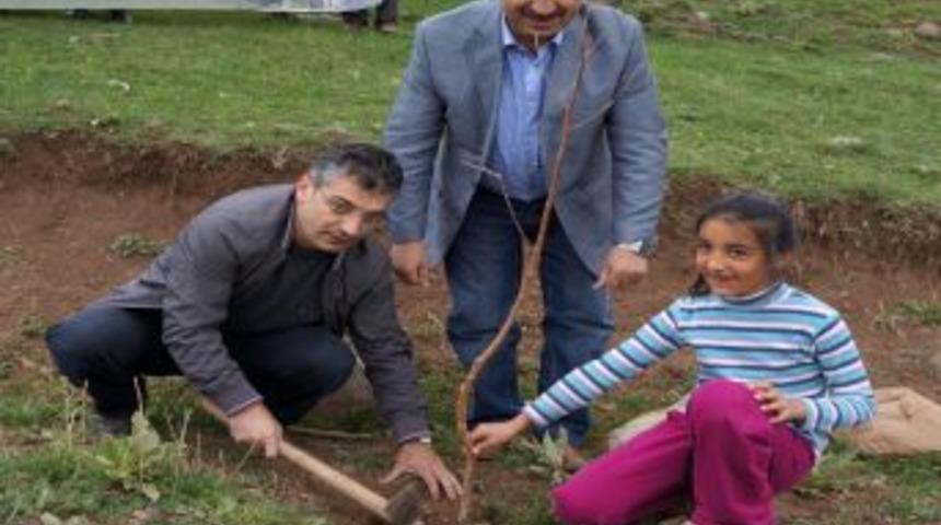 Erzurum Vefa Derneği, Semerkand Haftası Kapsamında Fidan Dikti