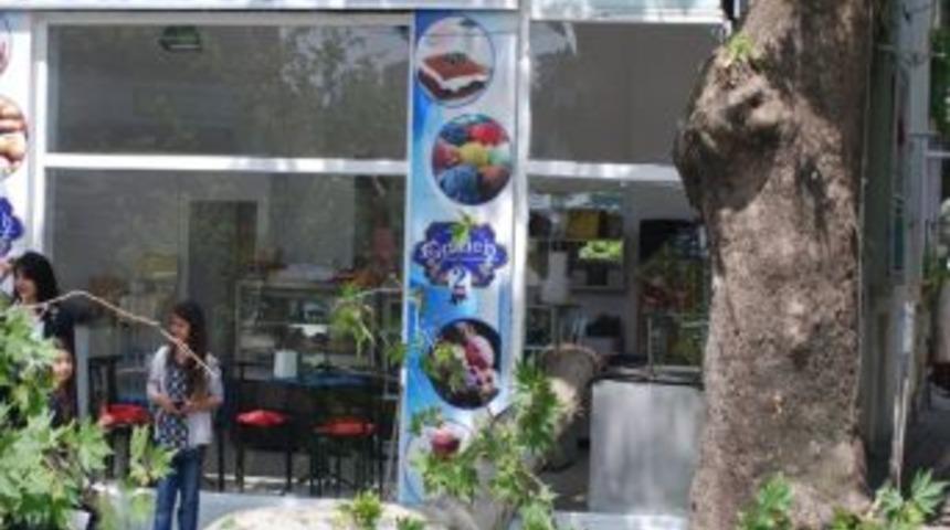 &Ccedil;ınar Ağacı Pastaneye Girdi