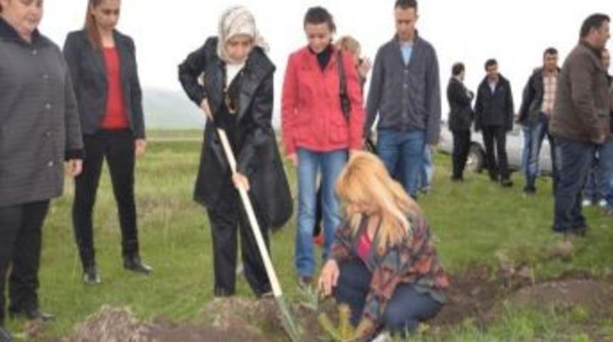 Ardahan&rsquo;da Fidan Dikimi