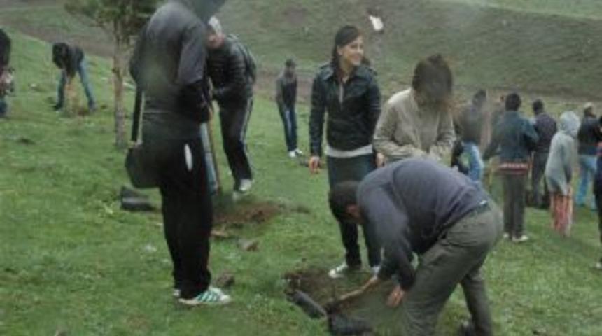 Hulusi Efendi Vakfı Fidanları Toprakla Buluşturdu