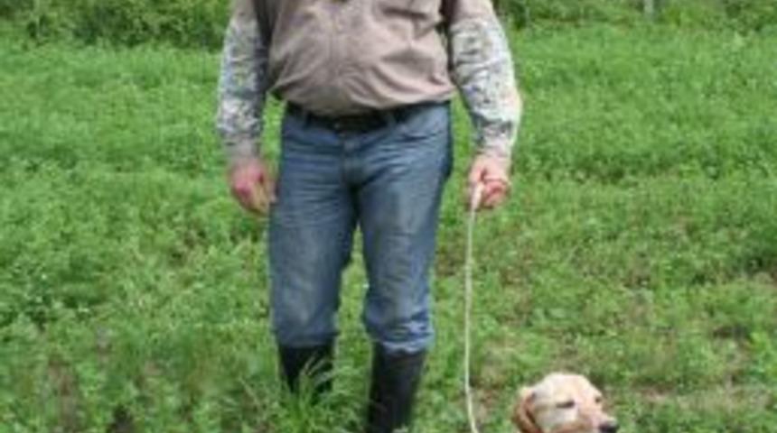 5. Fermalı Av K&ouml;pekleri Mera Yarışması Sakarya&rsquo;da Başladı