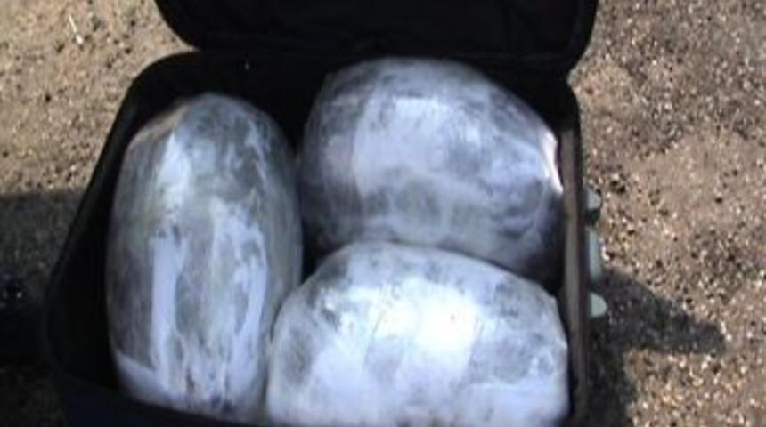 Uşak'ta Narkotik K&ouml;peği Tora Yine Yakaladı