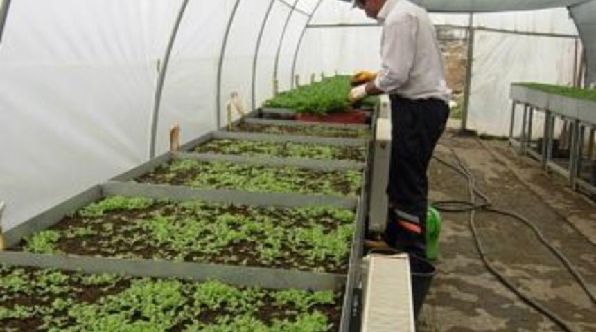 Park Ve Bahçelerden Çiçeklendirme Seferberliği