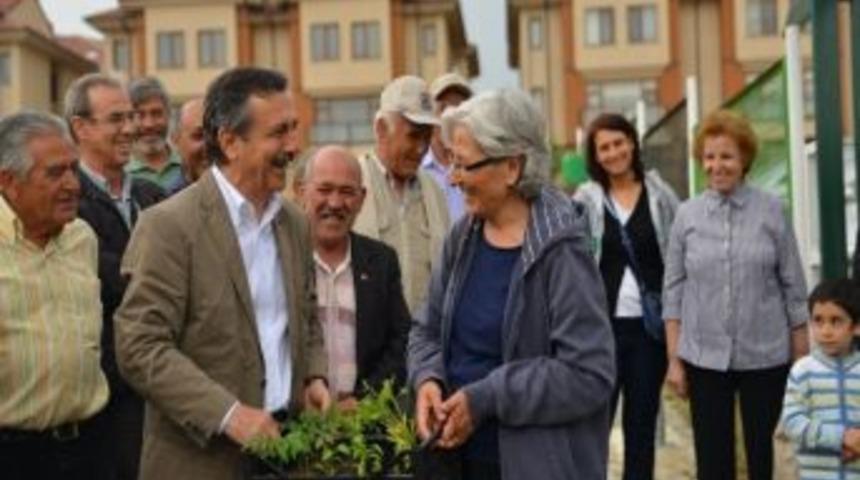 Hobi Bah&ccedil;elerinde Fide Dağıtıldı