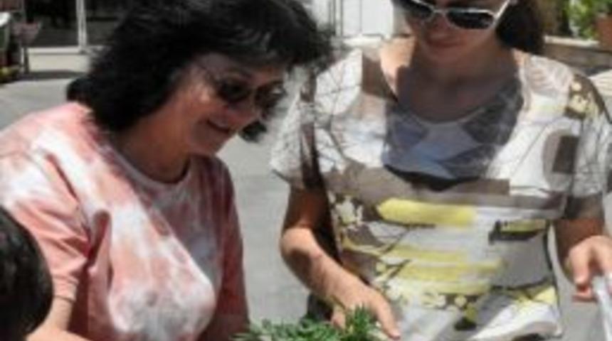 Anneler G&uuml;n&uuml;nde Şehit Annelerini Unutmadı;