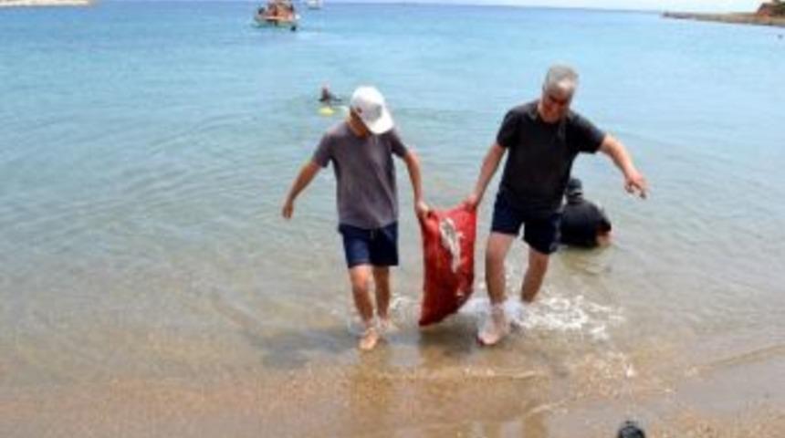 Askerden &Ccedil;evre Duyarlılığı