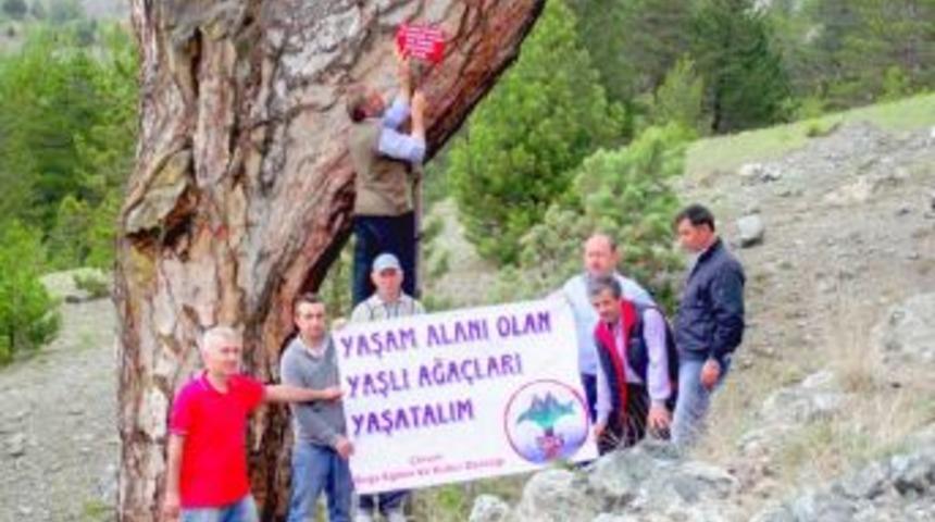 Ağa&ccedil;lar etiketleniyor