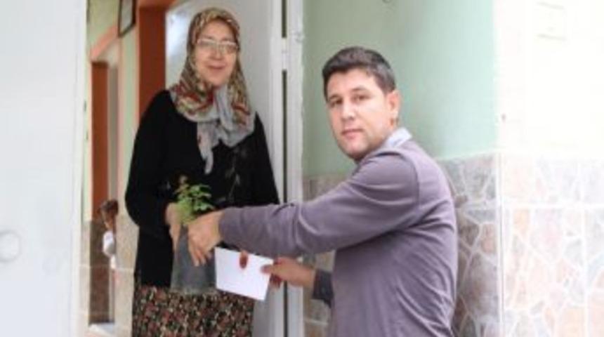 Kula Belediyesi 9 Bin G&uuml;l Fidanı Dağıttı