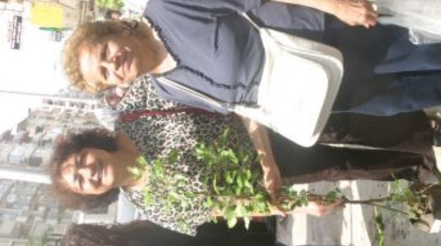 &Ouml;demiş Chp, Anneler G&uuml;n&uuml;'nde Fidan Dağıttı