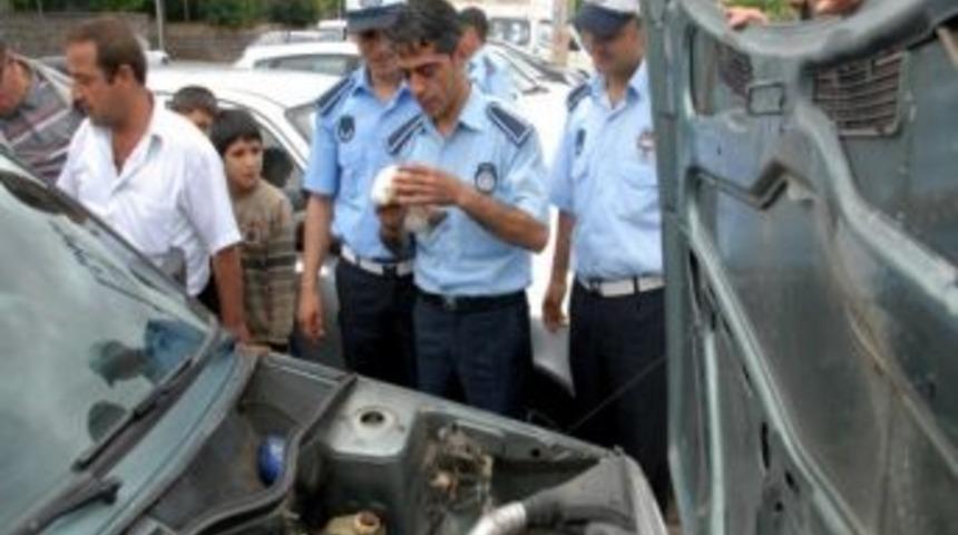 Kedi Cama Yapıştırılan Not İle Kurtarıldı