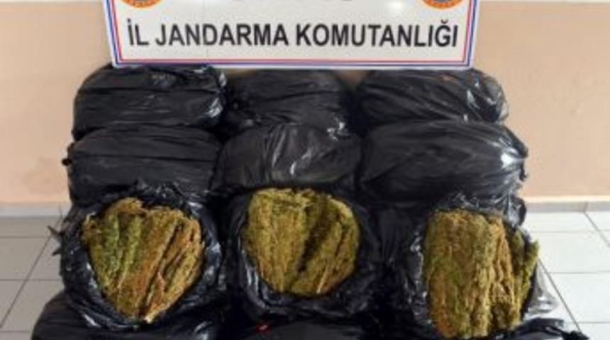 Sivas&rsquo;ta 153 Kilo Esrar Ele Ge&ccedil;irildi